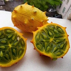 10 Semillas de Kiwano, Melón Cornudo, Pepino Africano o Melón de Cuernos, Jalea melon (Cucumis metuliferus)